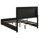Marceline Panel Bed with LED Lighting