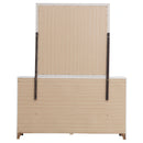 Brantford Dresser with Mirror
