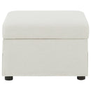 Winter Storage Ottoman