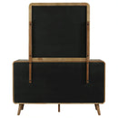 Robyn Dresser with Mirror