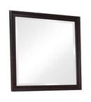 Sandy Beach Cappuccino Dresser Mirror