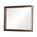 Jaxson Transitional Cappuccino Dresser Mirror