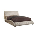 Tully Transitional White Upholstered Queen Bed