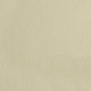 Samuel Transitional Cream Sleeper Sofa