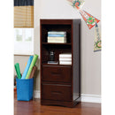 PEARLAND Dark Walnut Book Case